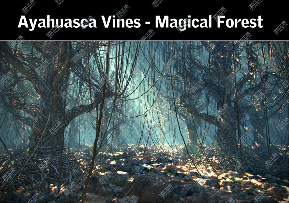 images/goods_img/2021040164/Ayahuasca Vines - Magical Forest/1.jpg